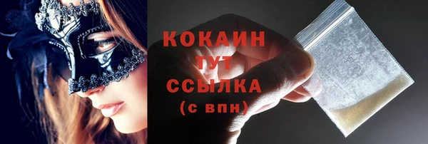 прущий лед Вяземский