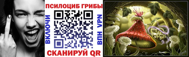 Псилоцибиновые грибы Psilocybine cubensis  Брянск 